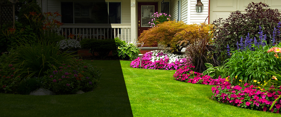 Iva Landscapers