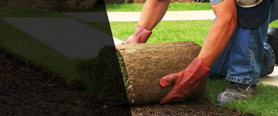 Iva Landscapers